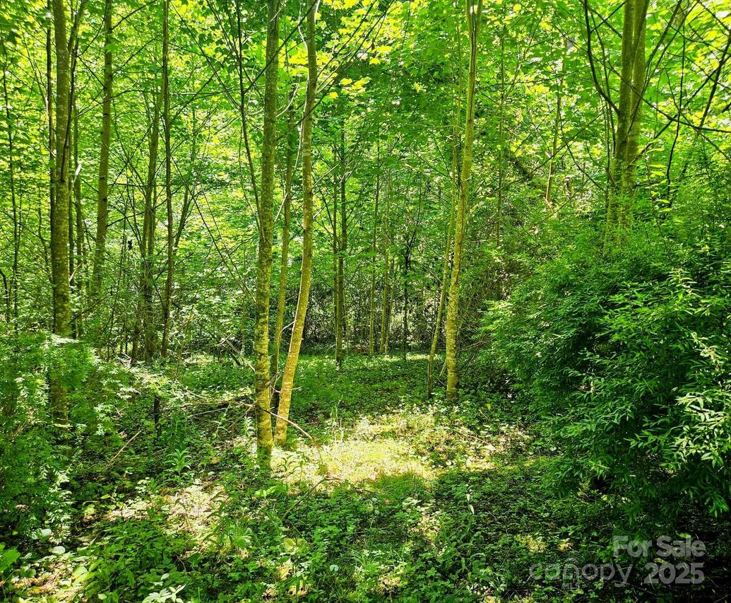 99 Banjo Branch Rd., Burnsville, NC 28714
