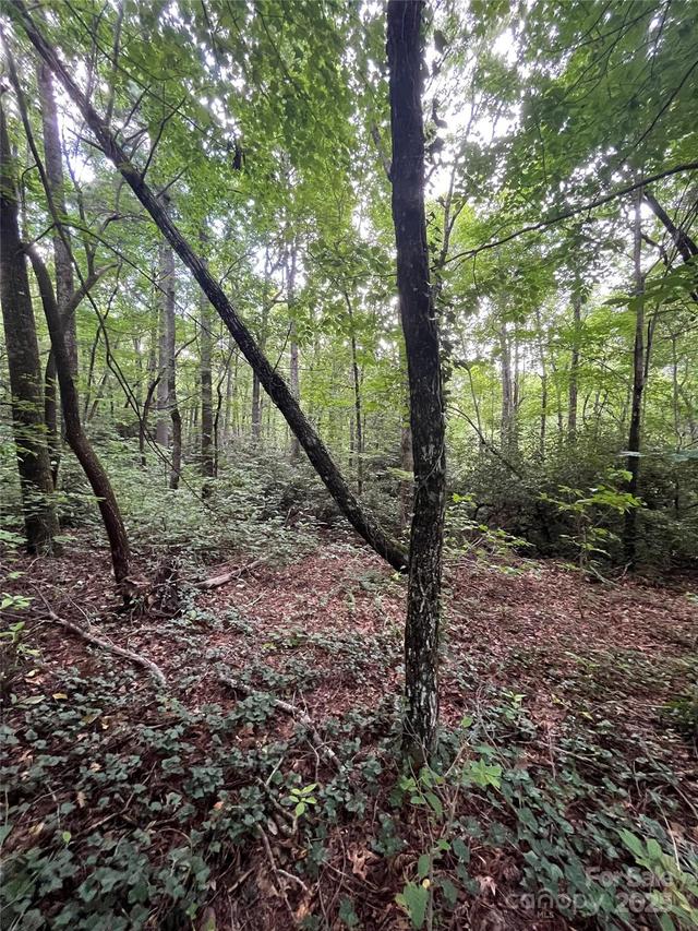 000 Greenleaf Dr., Flat Rock, NC 28731