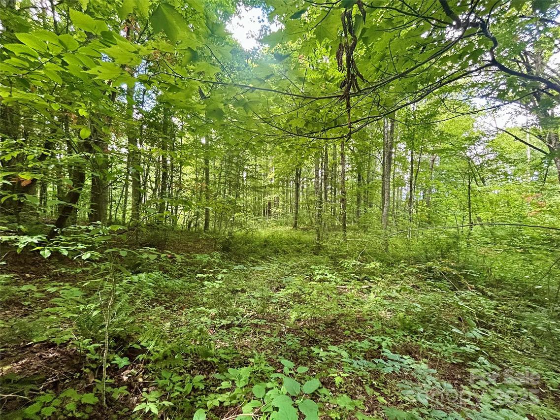 Tract 2 Nips Way Way, Cullowhee, NC 28723