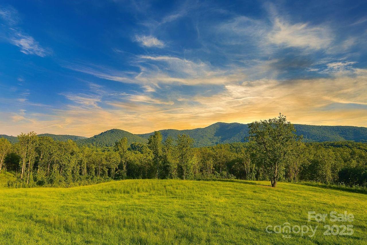 221, 219 Mcneilly Rd., Casar, NC 28020