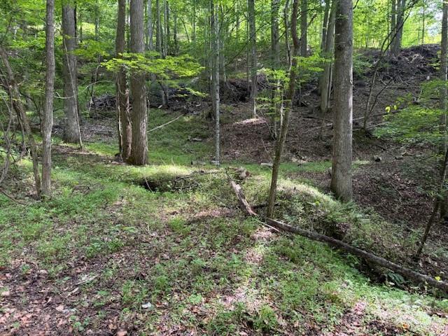 Cane Mountain Ln., Burnsville, NC 28714