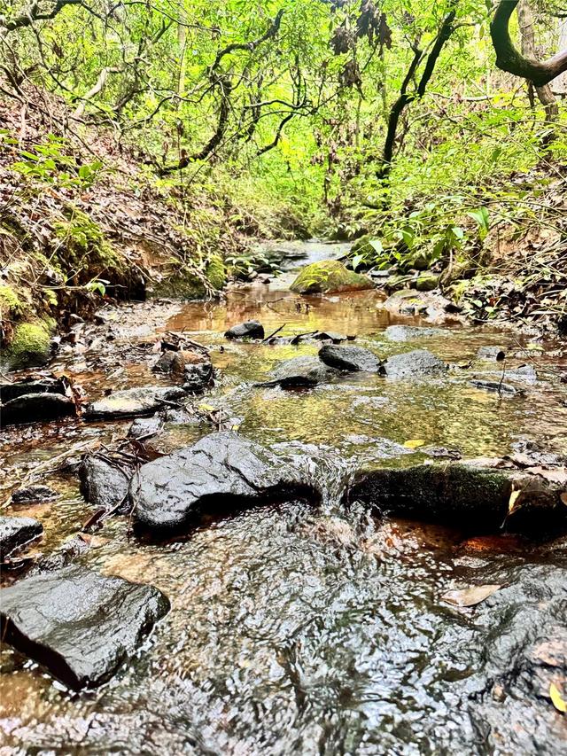 Travelers Rest Ln., Rutherfordton, NC 28139