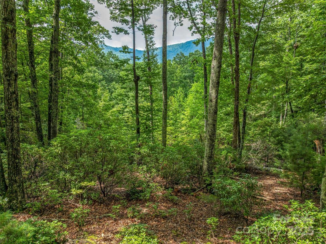 72 Smokey Ridge Tr. #196, Arden, NC 28704
