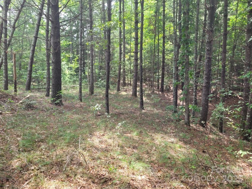 Lot 278 Scenic Vista Dr., Nebo, NC 28761