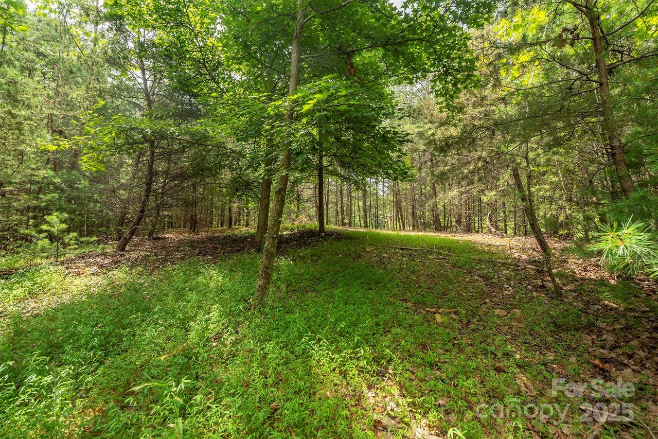 LOT 46 Black Forest Dr., Marion, NC 28752