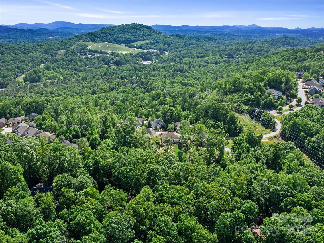 99999 Millbrae Loop, Hendersonville, NC 28791