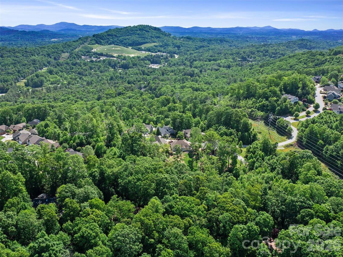 99999 Millbrae Loop, Hendersonville, NC 28791