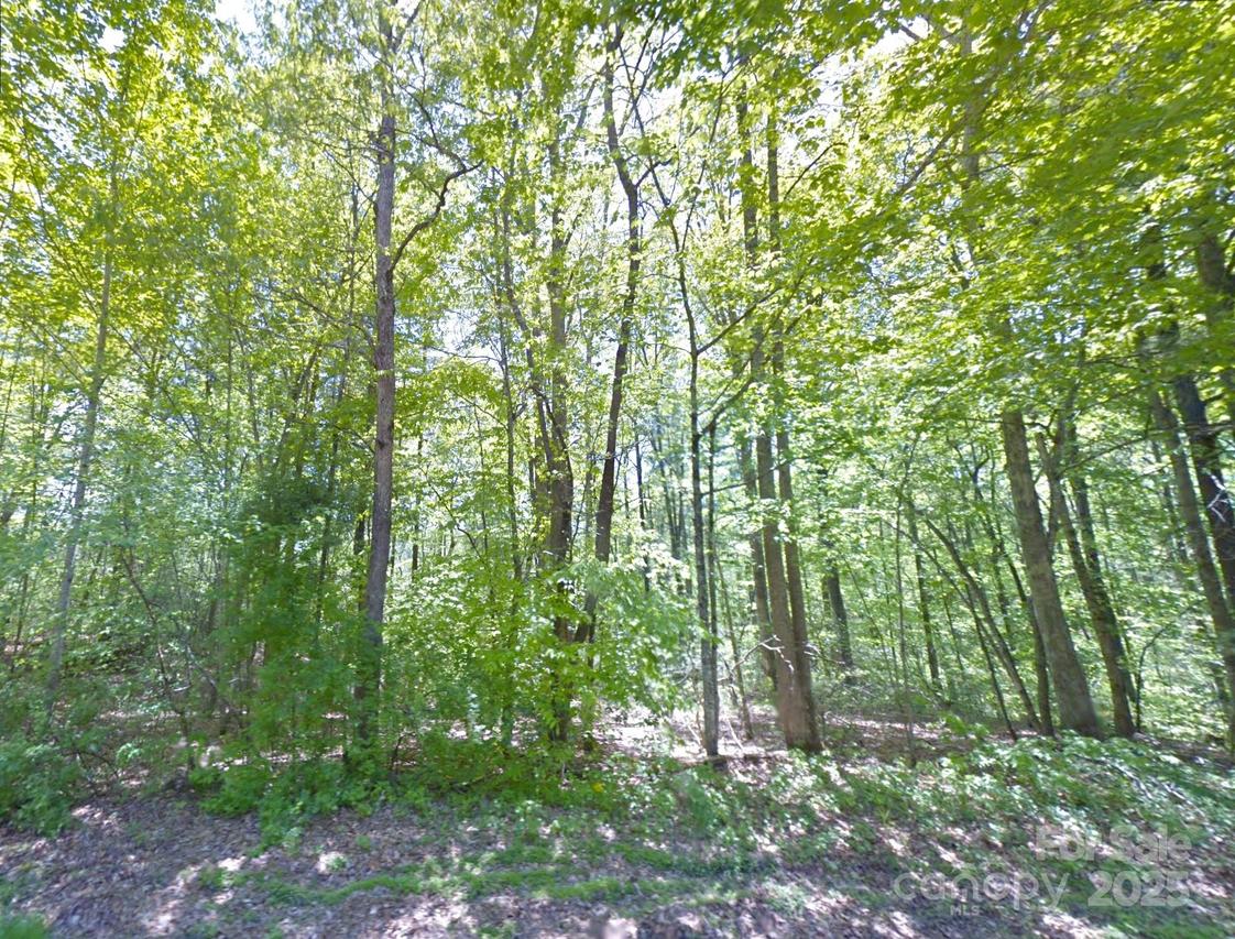 17 Maple Leaf Dr., Hendersonville, NC 28739