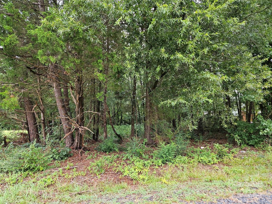 00 Norton Rd. #9, Albemarle, NC 28001