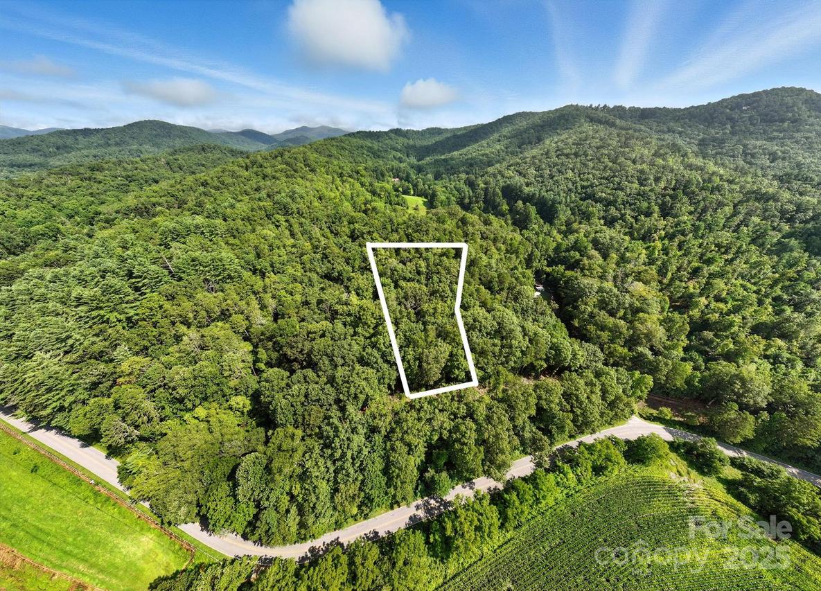 0000 Mullinax Cove Rd., Mills River, NC 28759