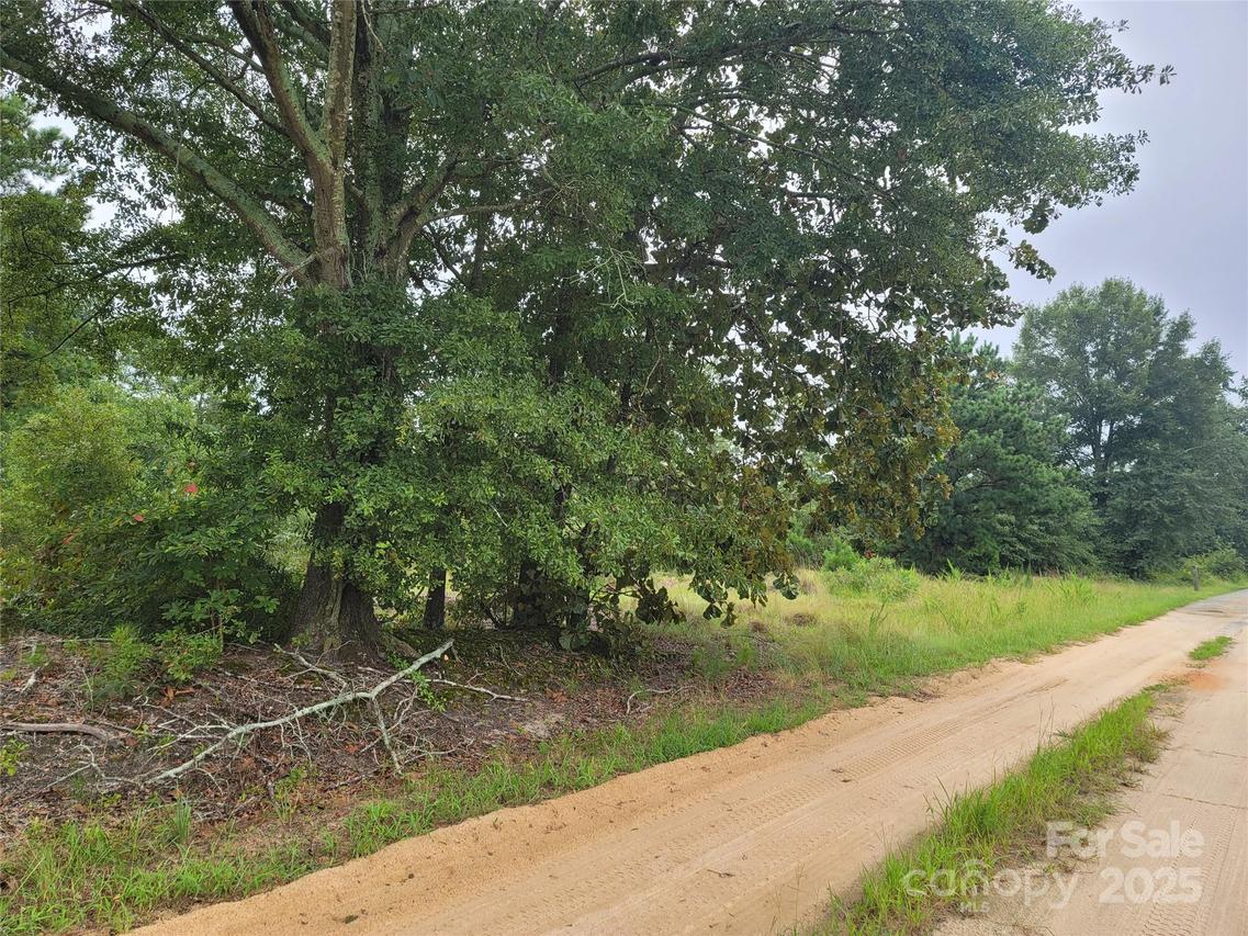 Windblow Rd., Jackson Springs, NC 27281