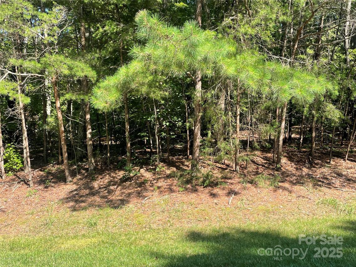 Whisper Lake Dr., New London, NC 28127