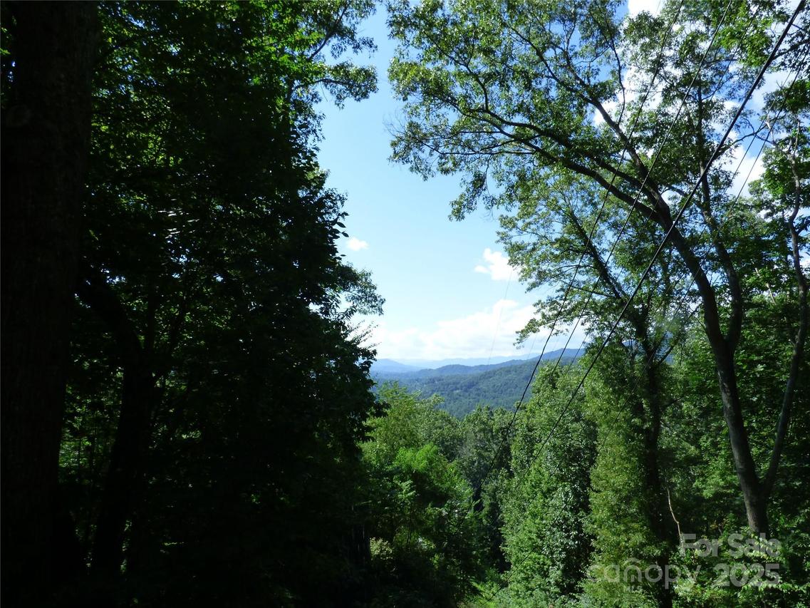 000 Ridgeway St., Sylva, NC 28779