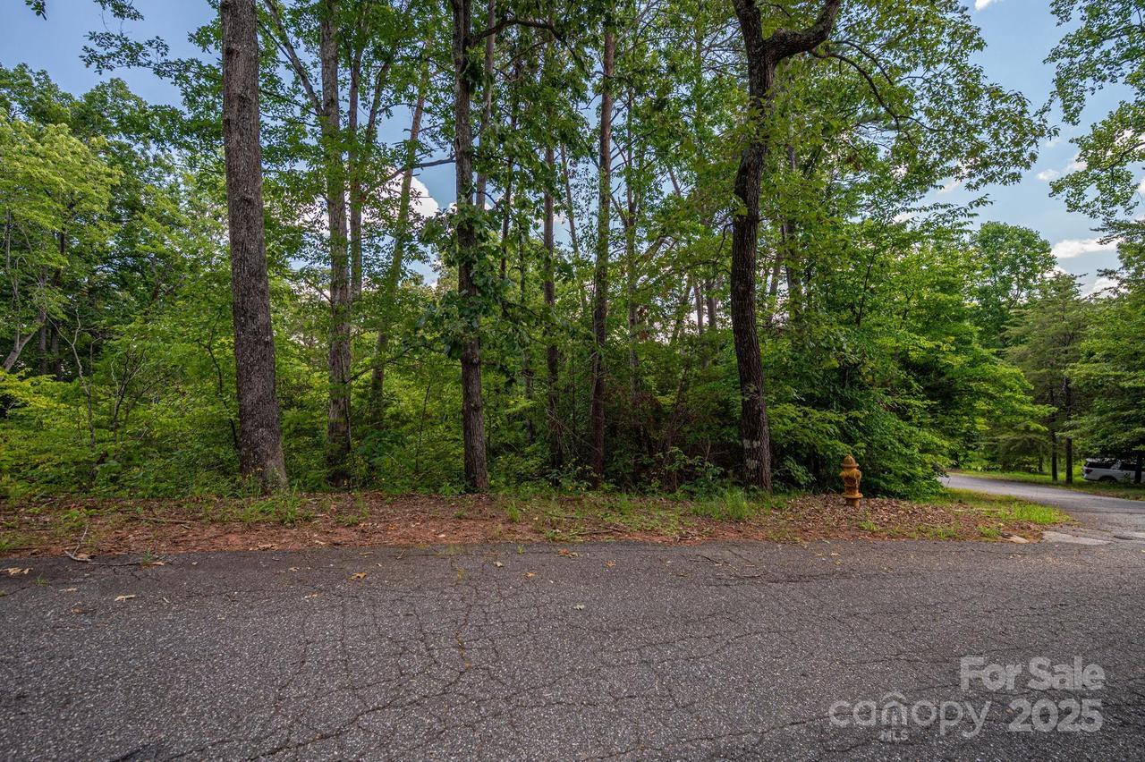 Lot 207 Plantation Dr., Rutherfordton, NC 28139