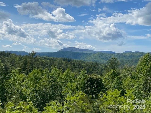 241 Peppervine Cir., Rosman, NC 28772