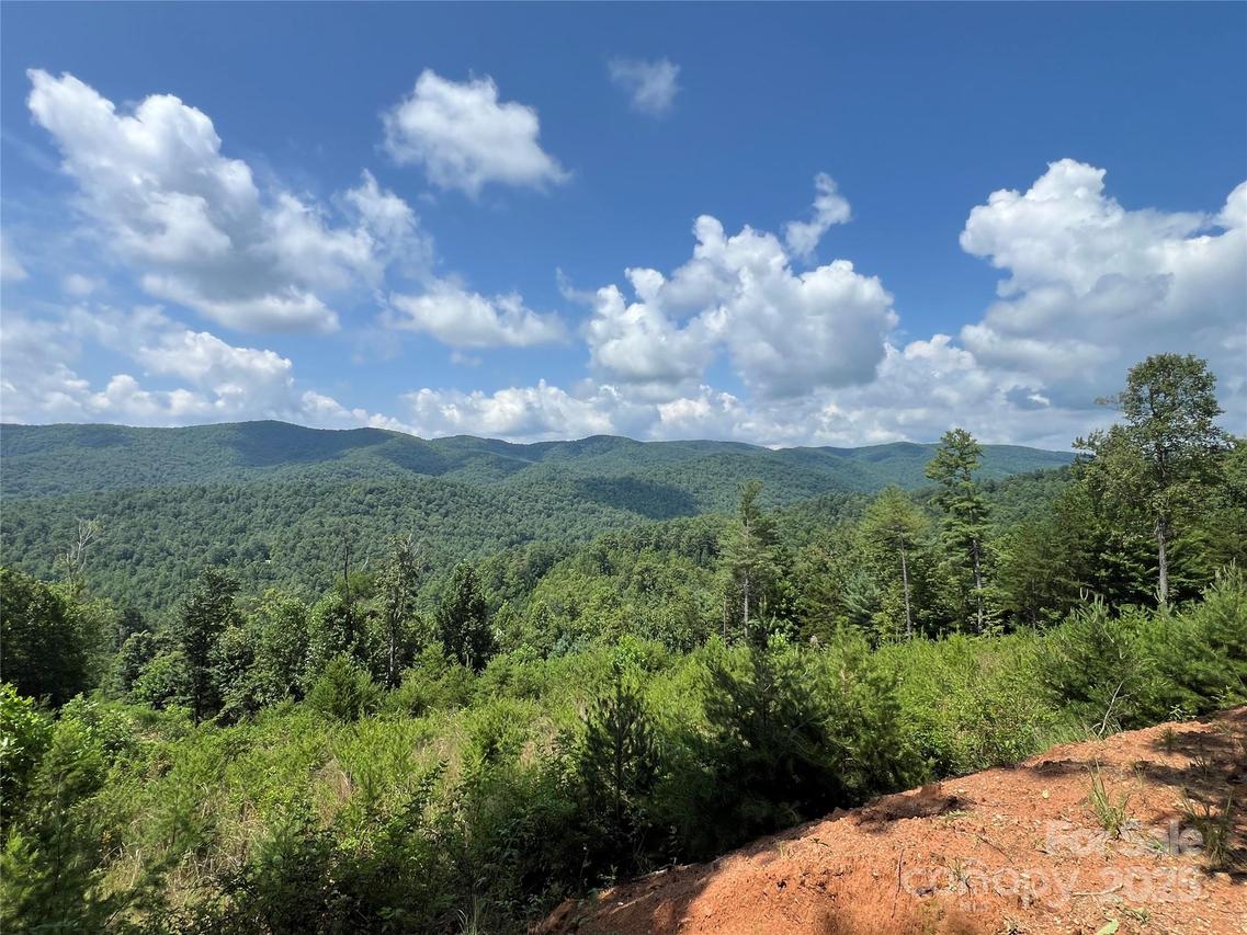 TBD Lazy Bear Ln., Purlear, NC 28665
