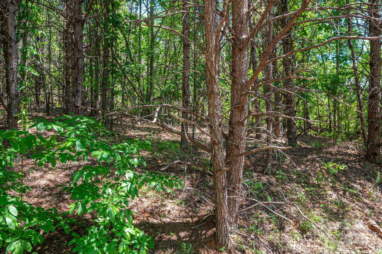 Lot 12 Meadow Crossing Dr., Rutherfordton, NC 28139