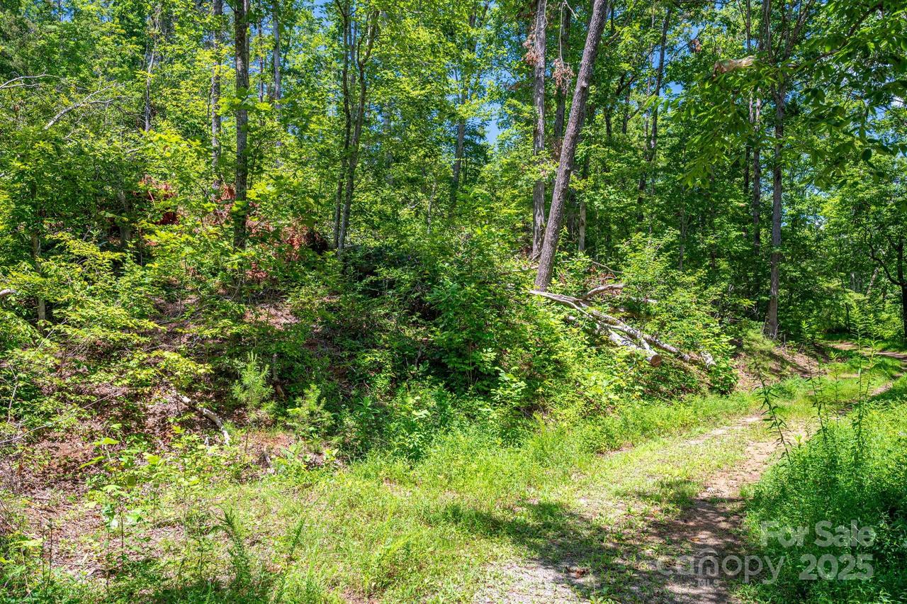 Lot 221 Plantation Dr., Rutherfordton, NC 28139