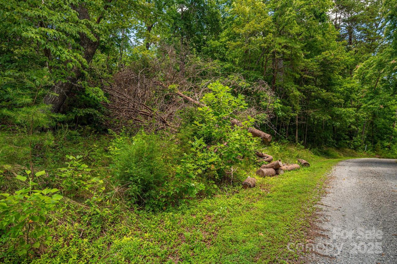 Lot 208 Plantation Dr., Rutherfordton, NC 28139