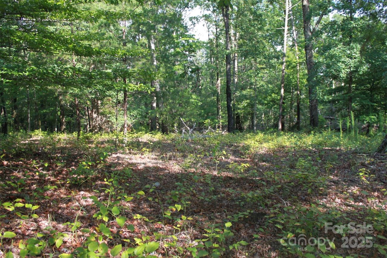 00 Lail Rd., Rutherfordton, NC 28139