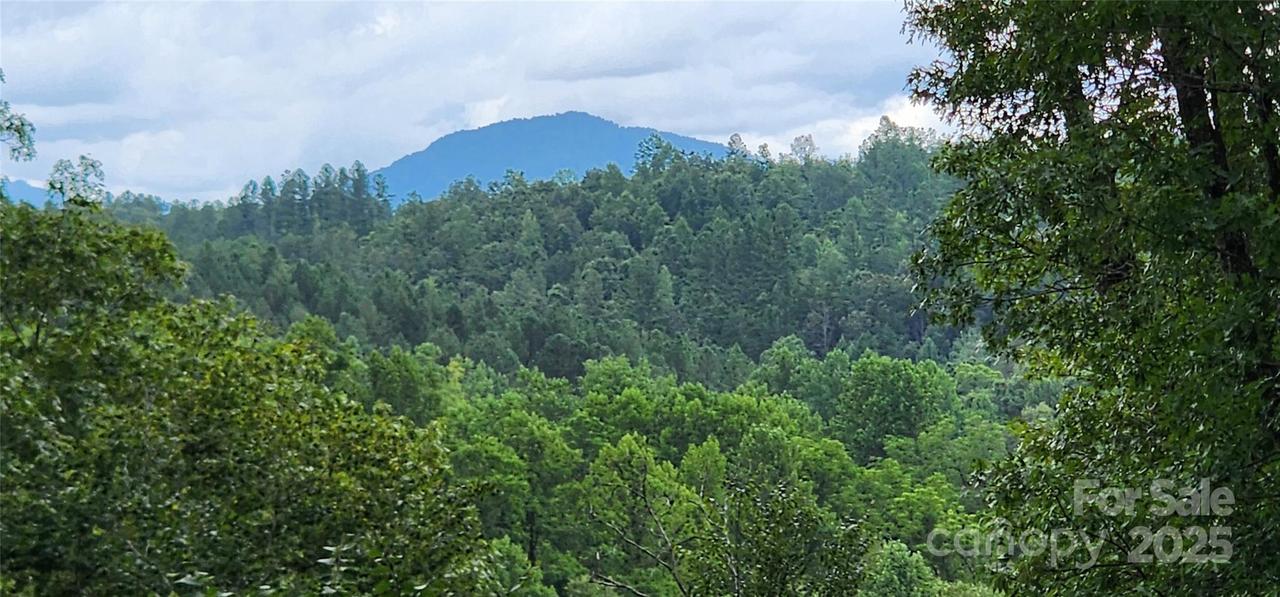 LOT 3 S Cross Creek Tr., Mill Spring, NC 28756