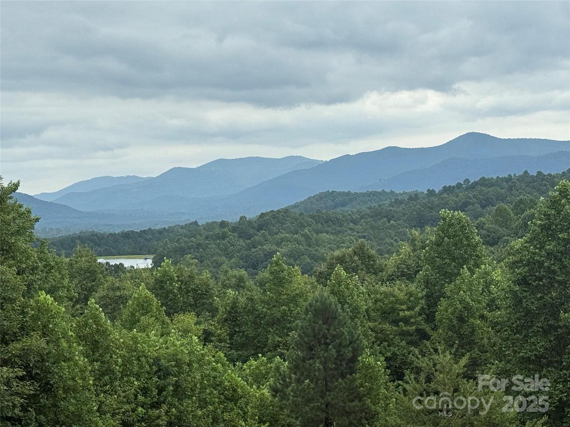 166 Coal Pit Mountain Dr. #359, Nebo, NC 28761