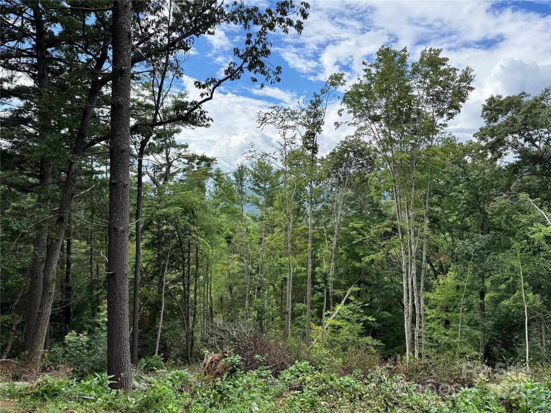 44 Stanley Hollow Rd., Weaverville, NC 28787