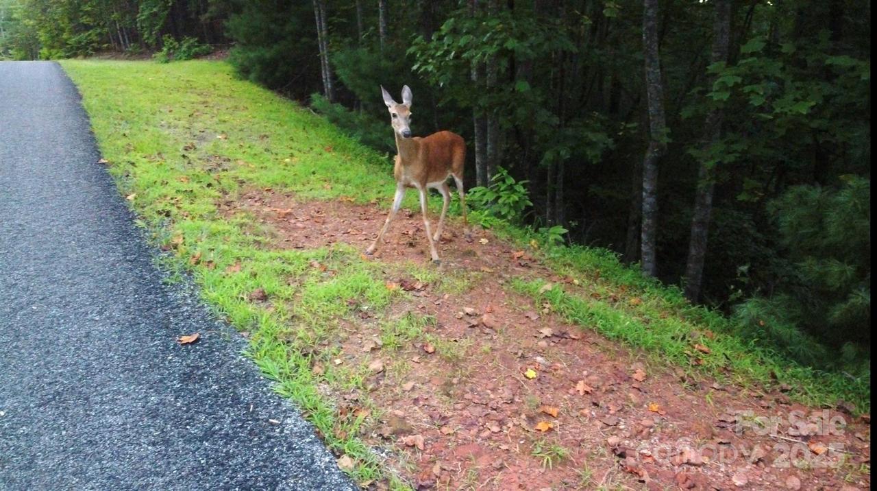 lots 11/12 South Pointe Rd., Mill Spring, NC 28756