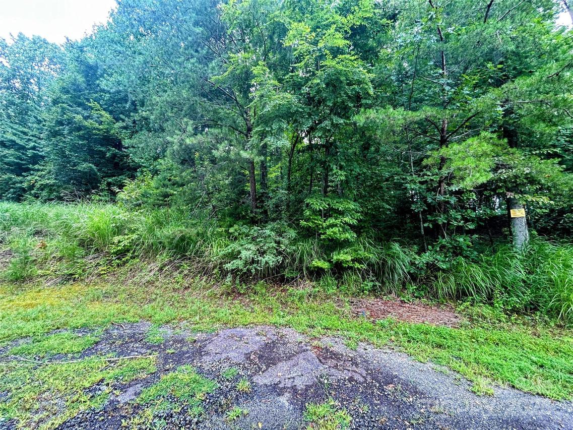 Lot 5 Azalea Way, Saluda, NC 28773
