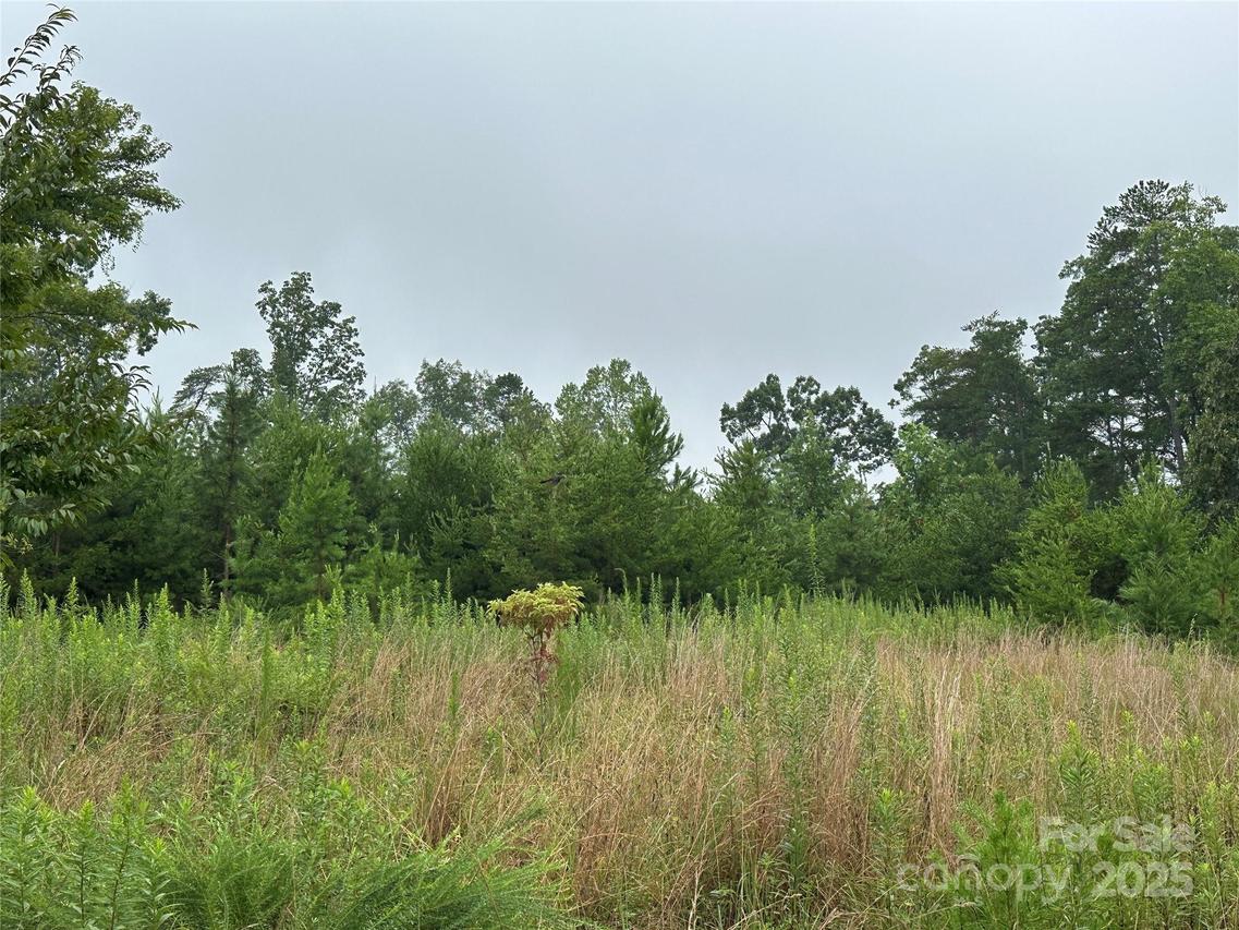 Lot 1 Celestial Dr., Nebo, NC 28761