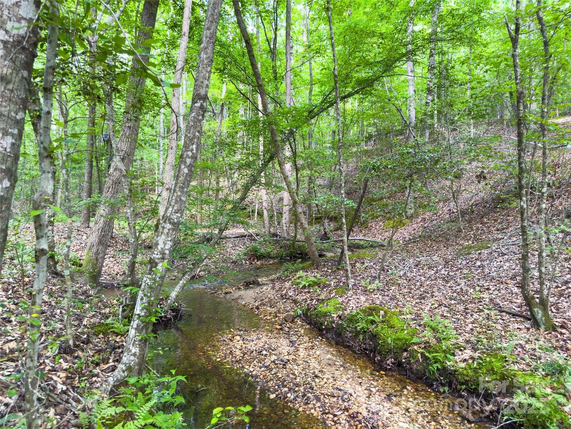 Old Charlotte Hwy., Rockingham, NC 28379