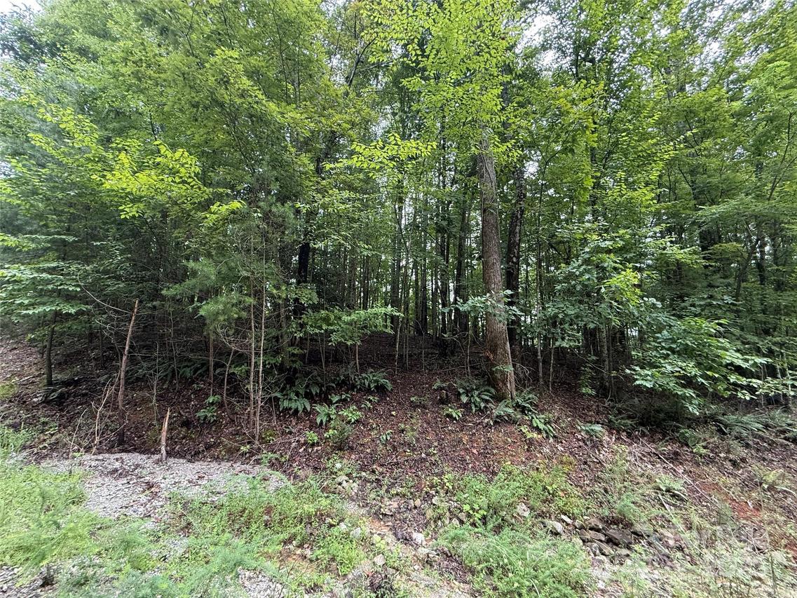Woodchuck Ln. #111, Marion, NC 28752