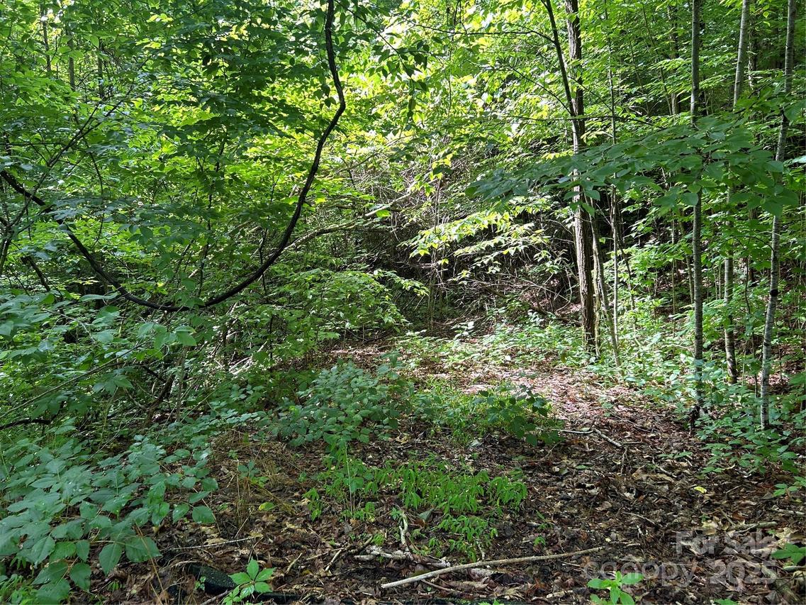 Loon Ln. #50, Whittier, NC 28789