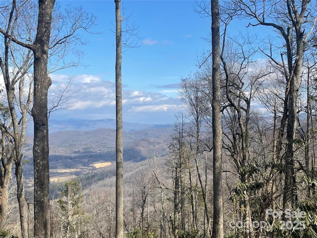 6 Laurel Ledge Way #17, Fletcher, NC 28732