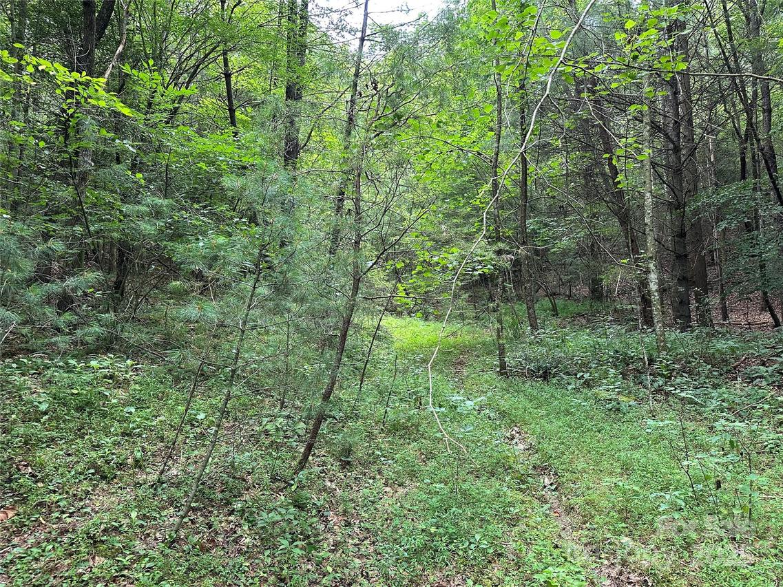 00 Benny Parsons Rd., Millers Creek, NC 28651