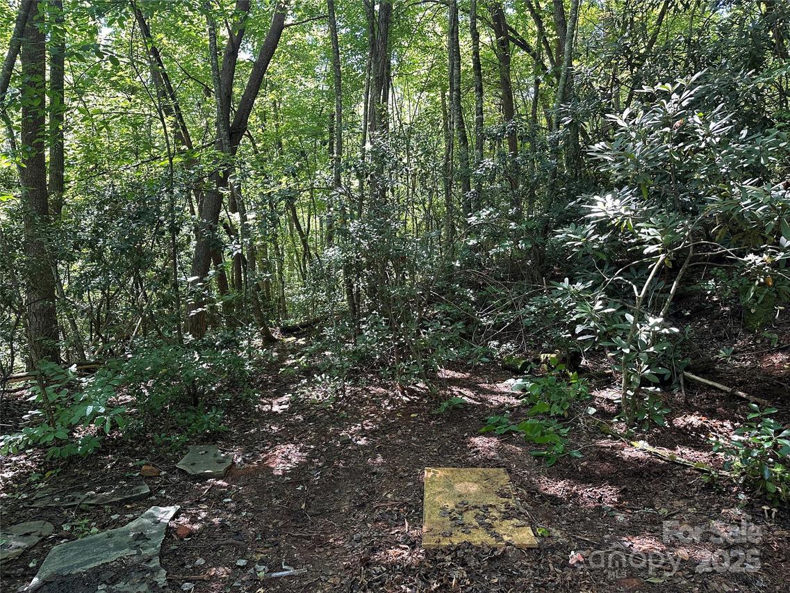 00 Lyle Downs Rd., Franklin, NC 28734