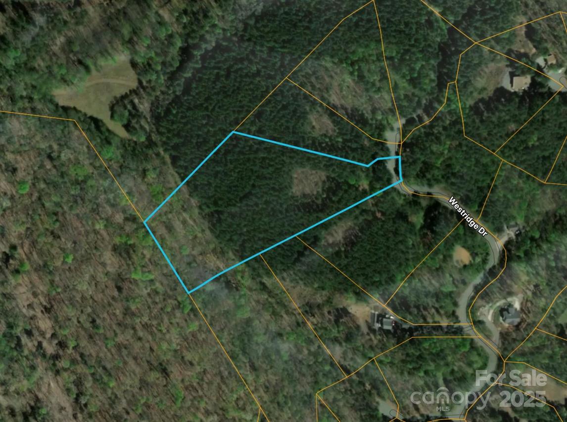 00 W Ridge Dr., Bostic, NC 28018