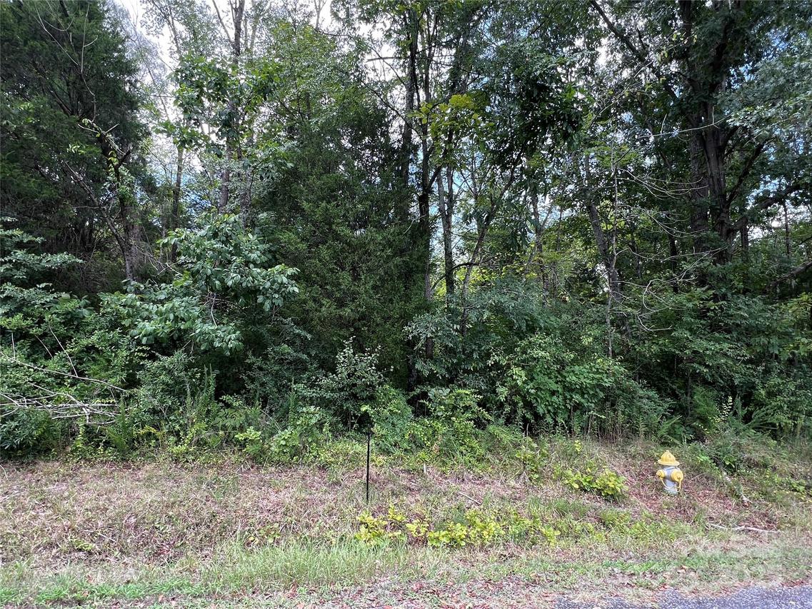 Lincoln St., Salisbury, NC 28144