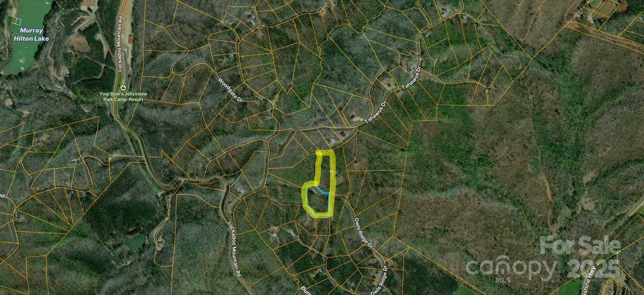 Lot 117 Owls Ridge Dr., Bostic, NC 28018
