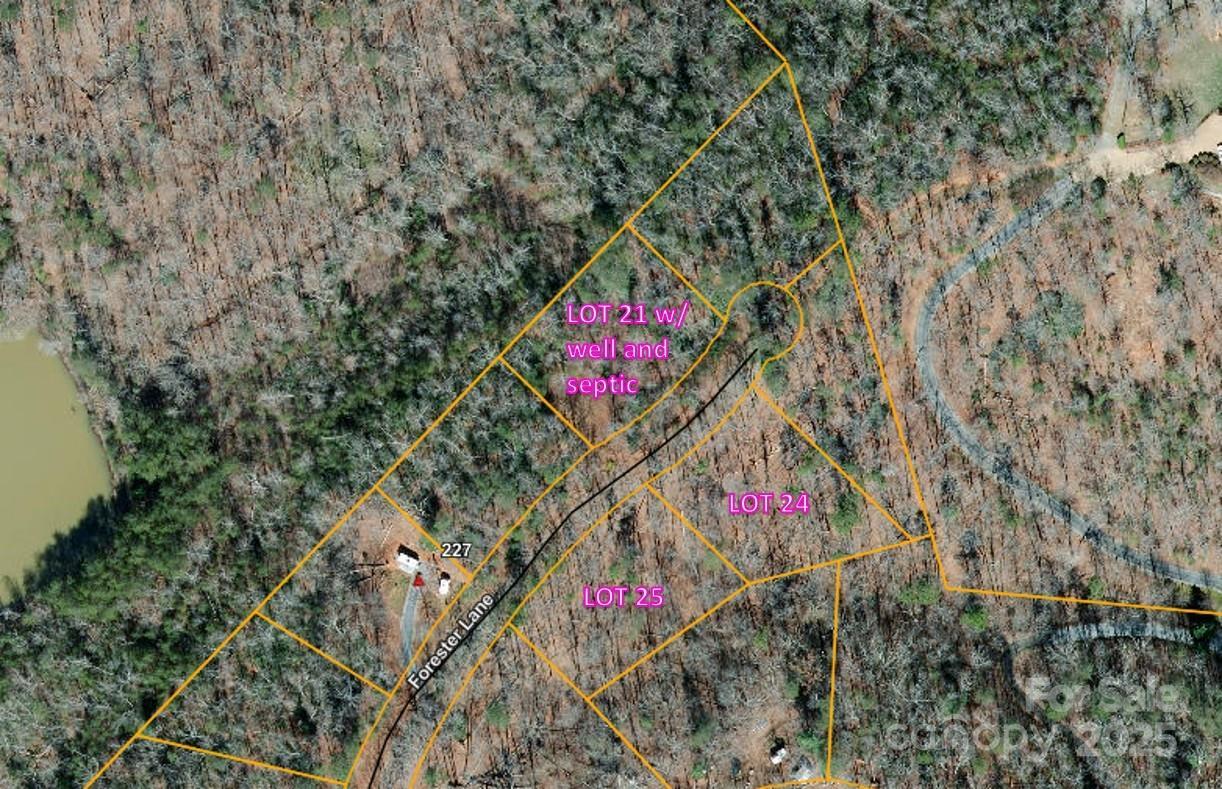 000 Forester Ln. #21, 24, & 25, Mill Spring, NC 28756