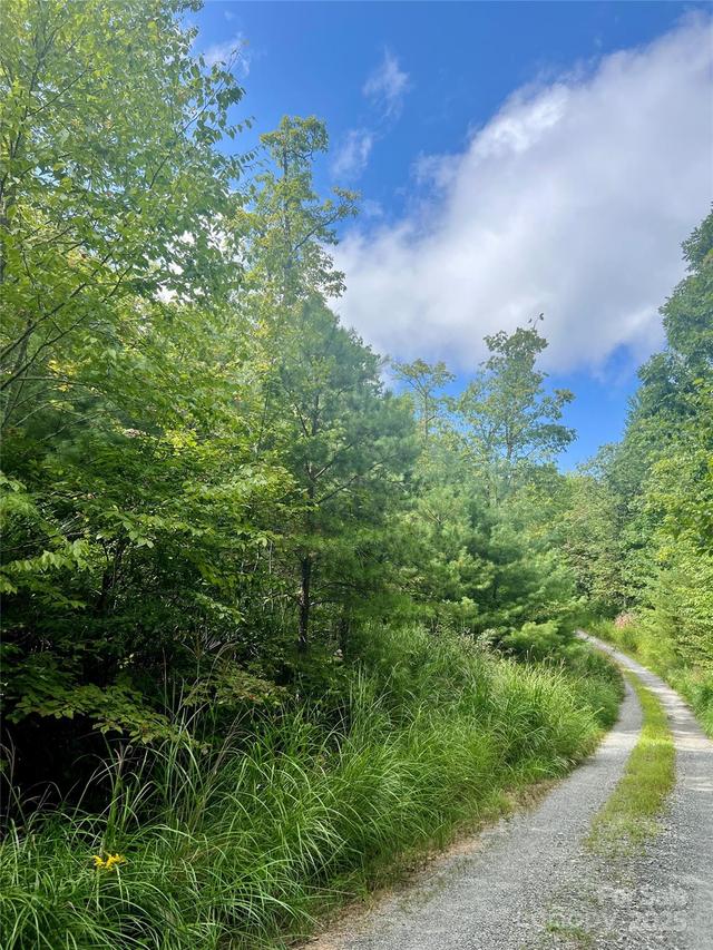 F2 Emma Bri Ln., Hendersonville, NC 28739