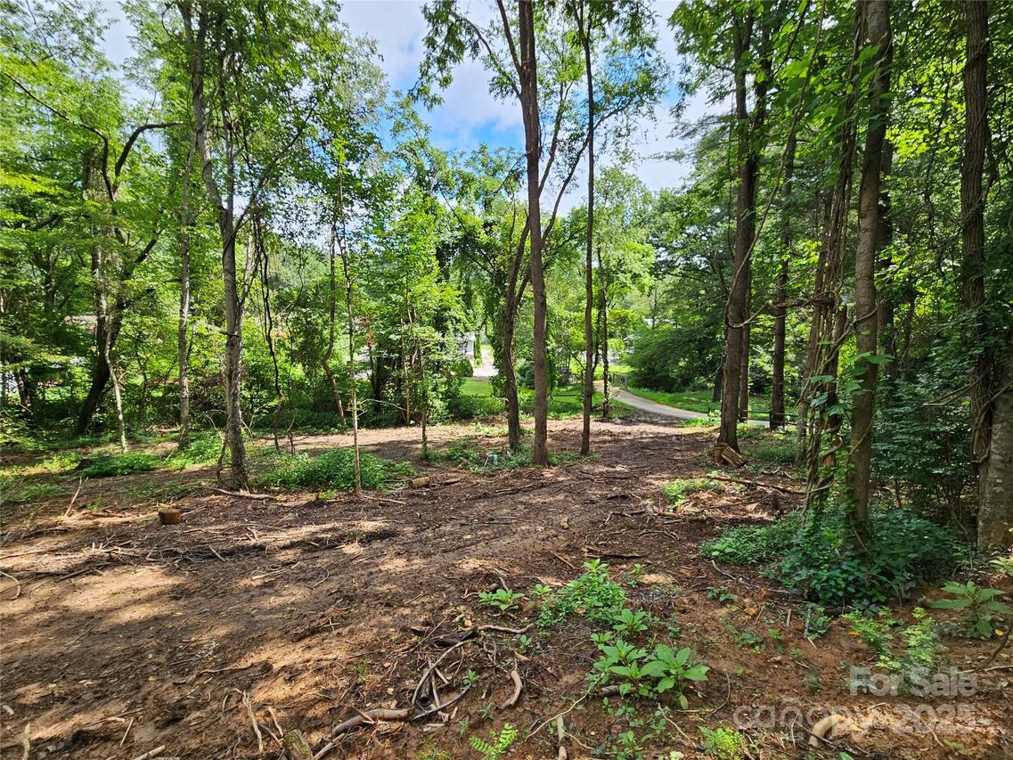 000 Dolan Rd. #1, Waynesville, NC 28786