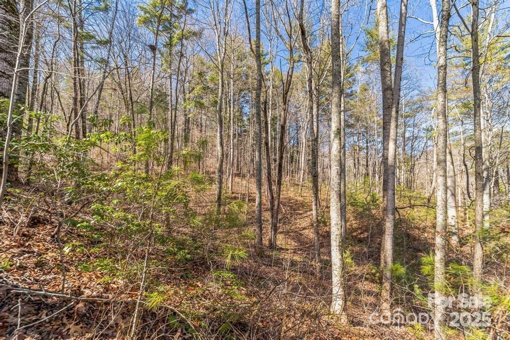 99999 Parker Rd. #2, Asheville, NC 28805
