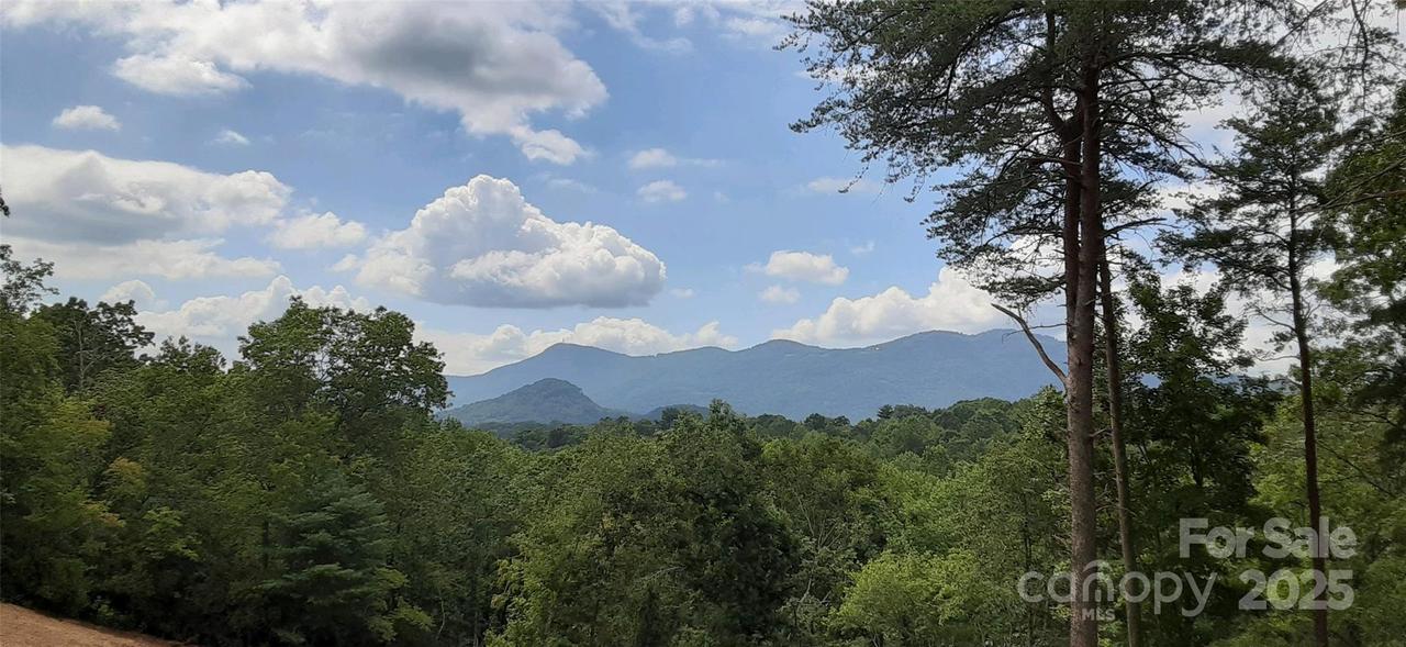 000 Levi Rd., Columbus, NC 28722