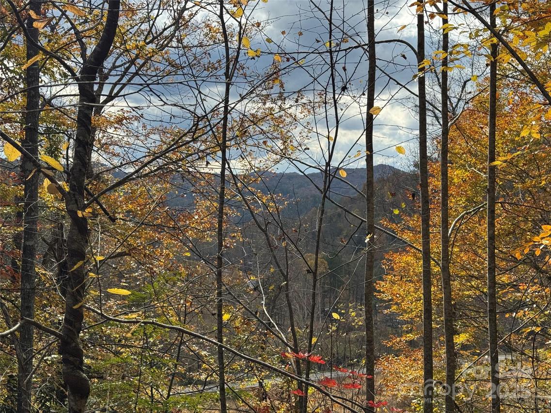 TBD Globe Rd., Lenoir, NC 28645