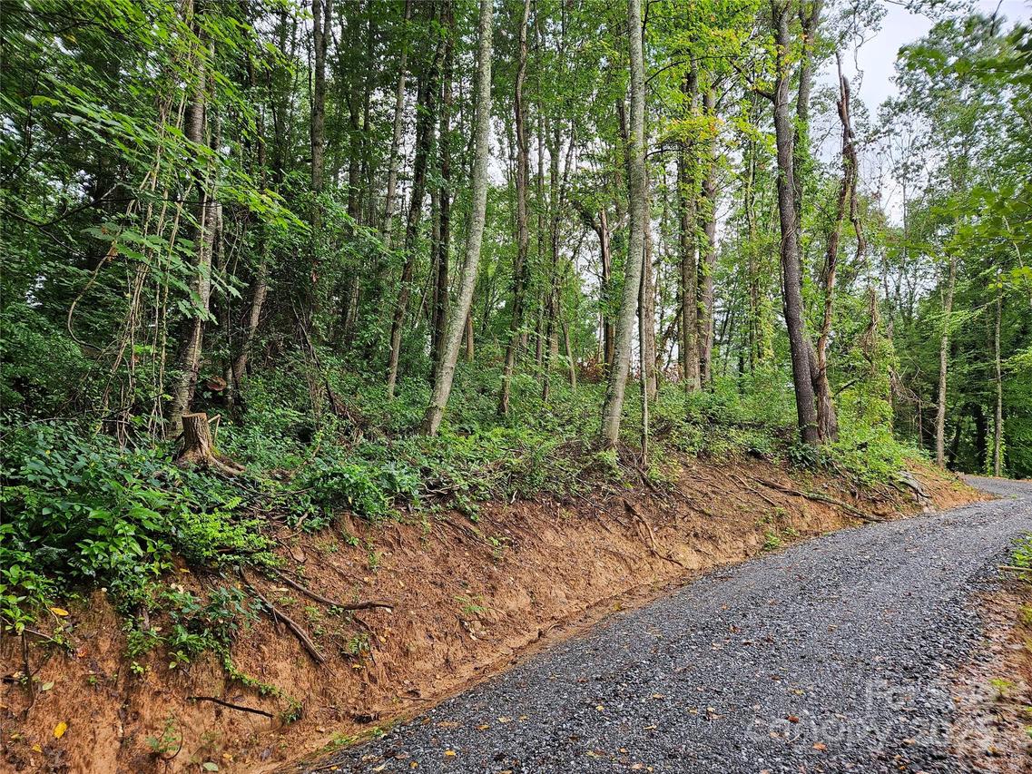000 Dolan Rd. #2, Waynesville, NC 28786