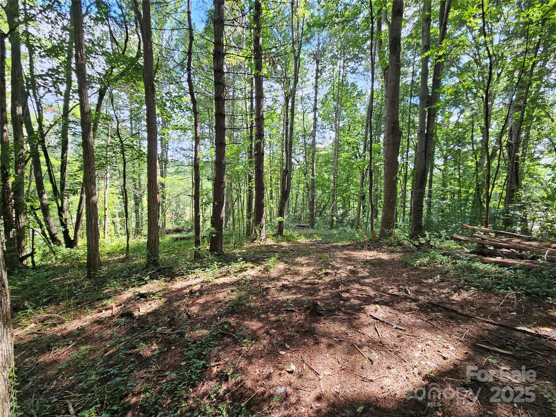 000 Dolan Rd. #3, Waynesville, NC 28786