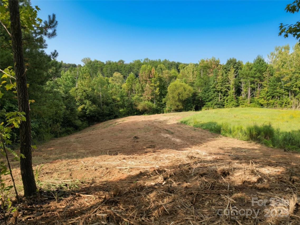133 Addison Emory Ln., Mooresville, NC 28115