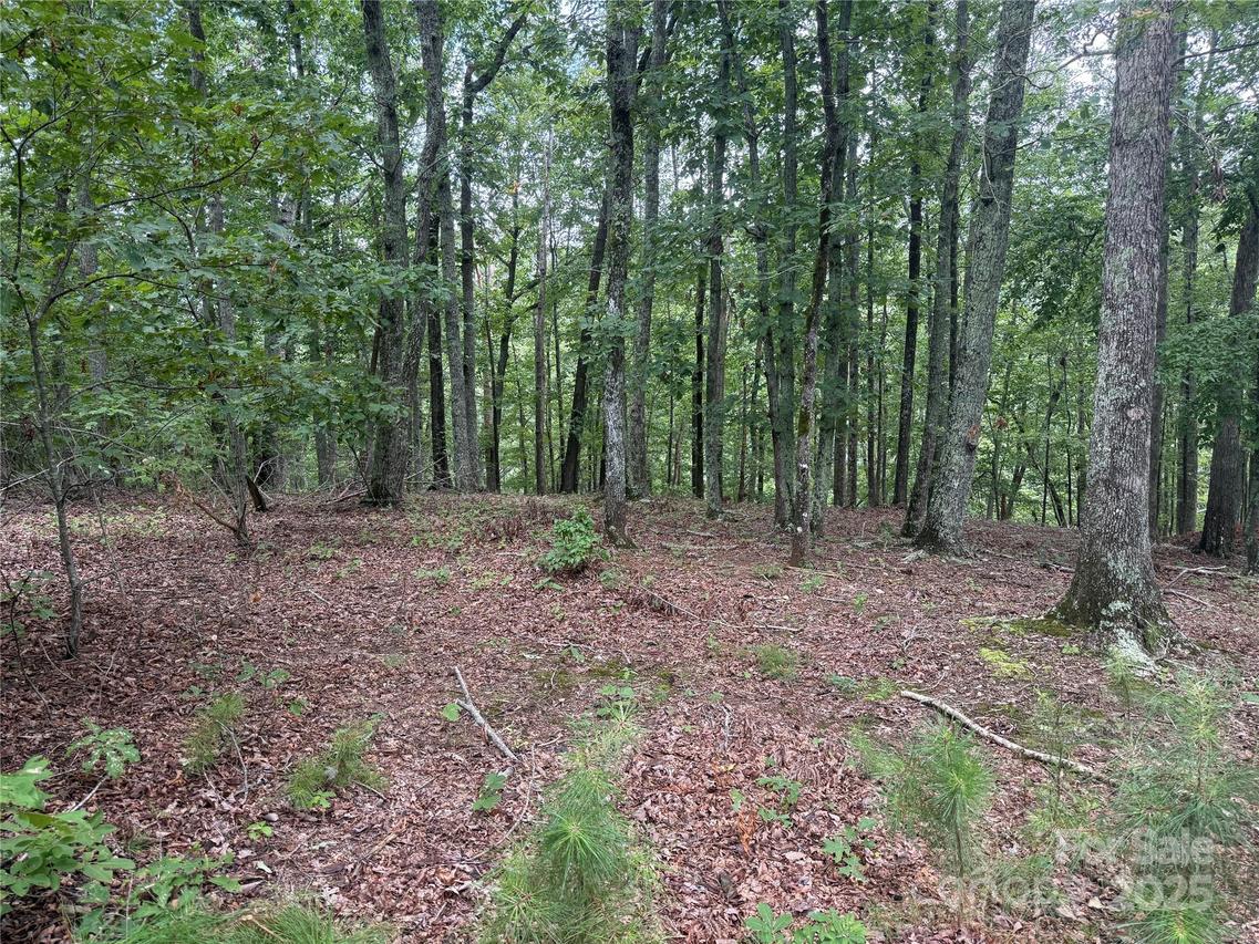 1187 Grandview Peaks Dr. #187, Nebo, NC 28761