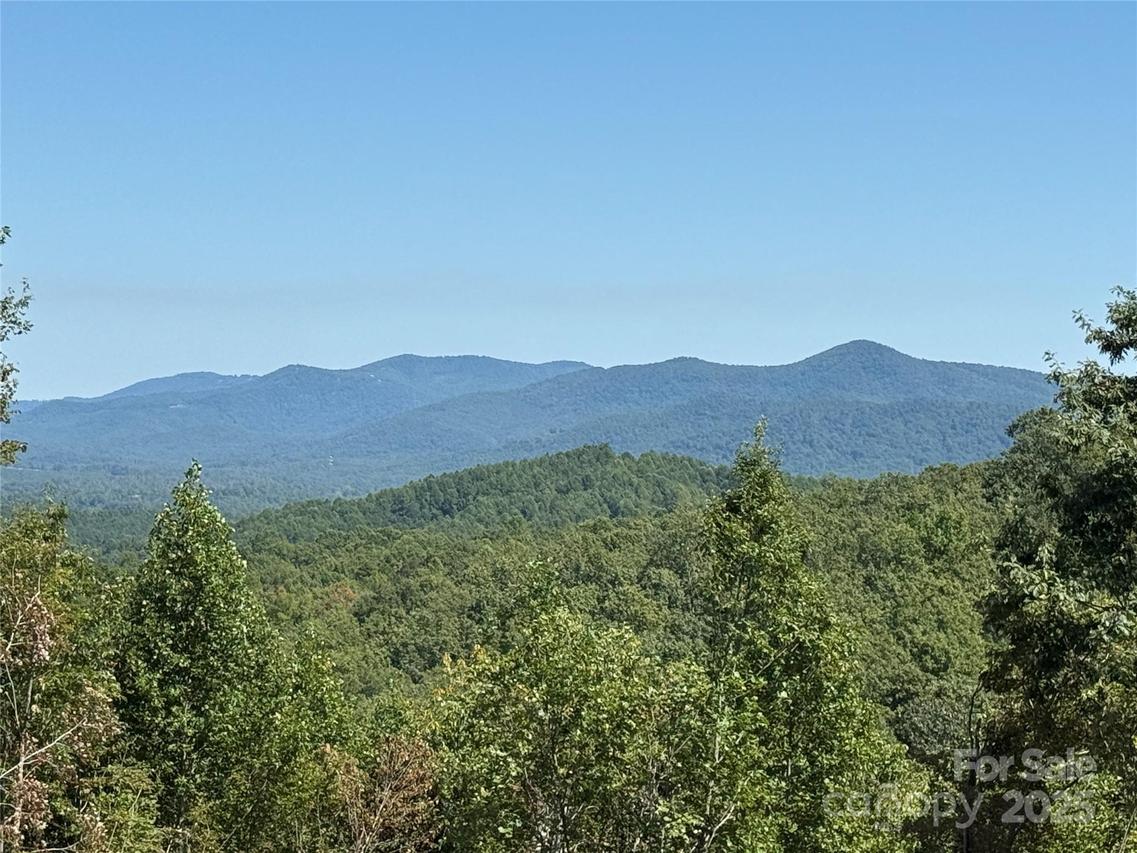 1187 Grandview Peaks Dr. #187, Nebo, NC 28761